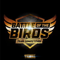 Battle Of The Birds