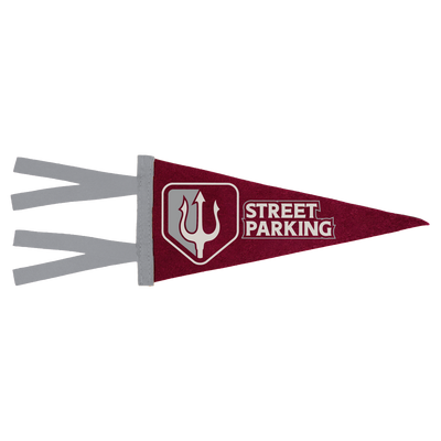 Team Pennant