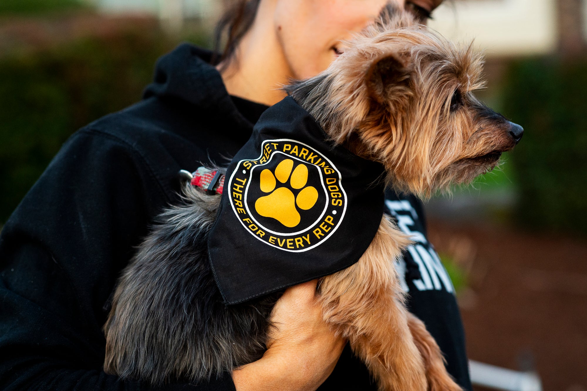 Street Parking Dog Bandana - Street Parking